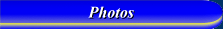 Photos of Revelliers